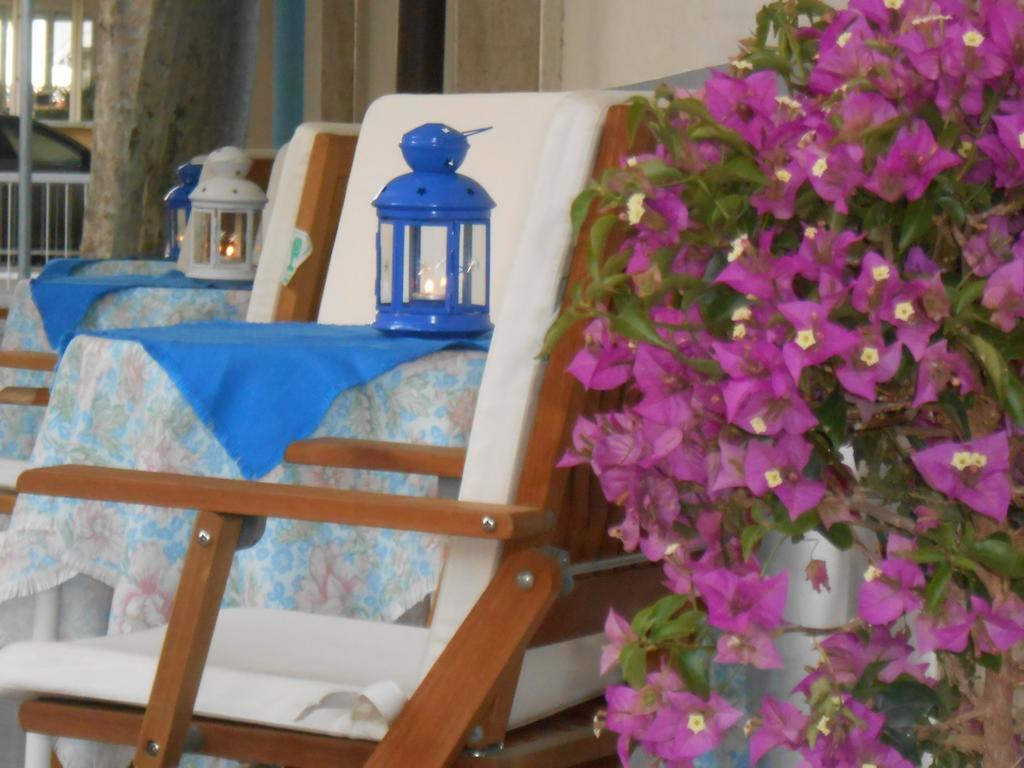 Hotel Villa Dei Platani ベラーリア・イジェア・マリーナ エクステリア 写真